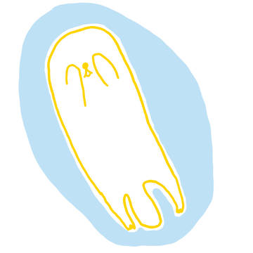 ラッコ