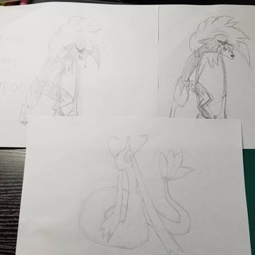 ミロカロスとルガルガン