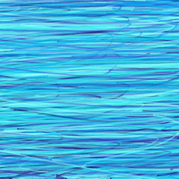 海