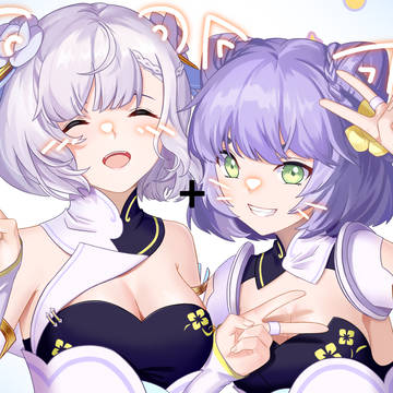 补充