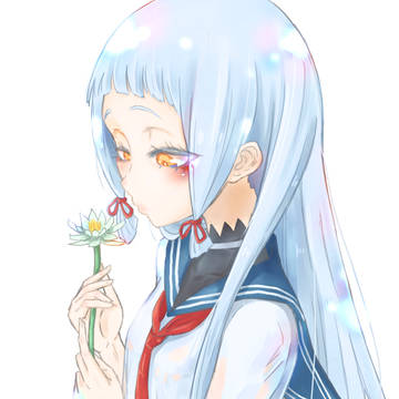 睡蓮