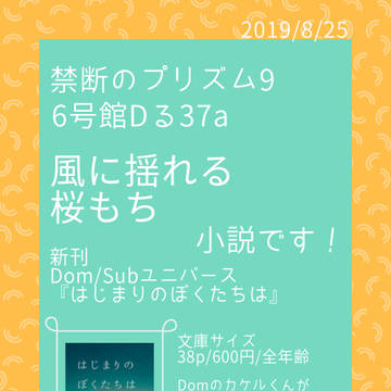 8/25 禁断のプリズム9 お品書き