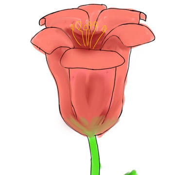 flower