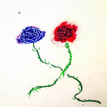 薔薇