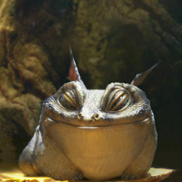 ドラゴン