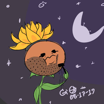Shaving Sunflower