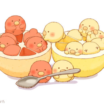 グレープフルーツごっこ