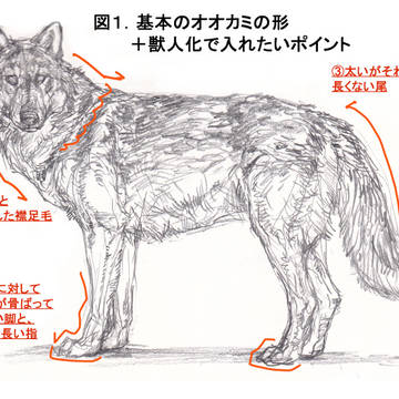 【獣人の描き方】オオカミの特徴からワーウルフを描いてみる