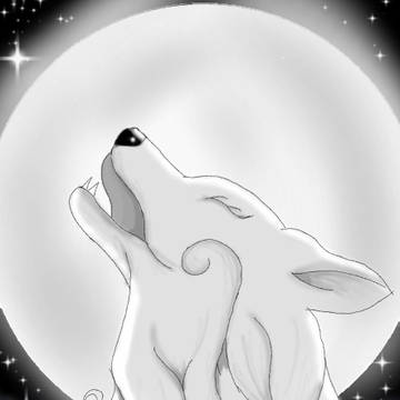 Wolf 💕