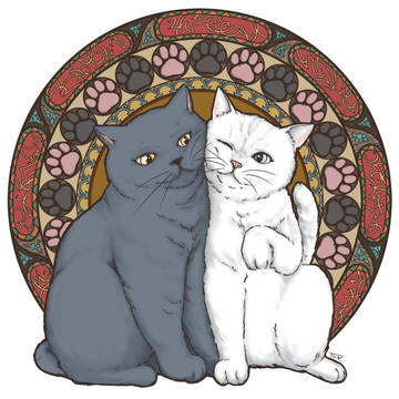 猫