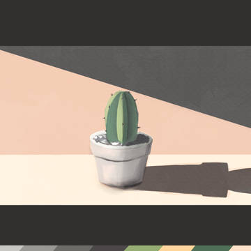 Cactus