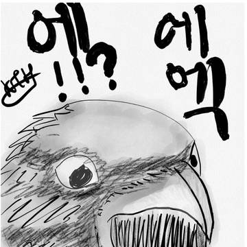 에에엑!!?