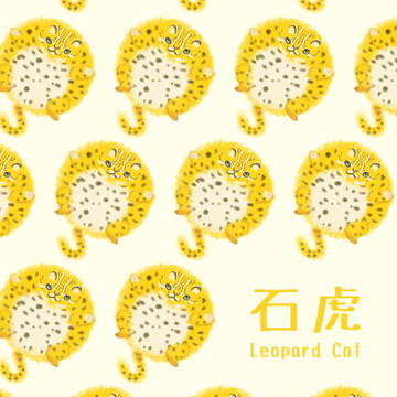 石虎 Leopard Cat