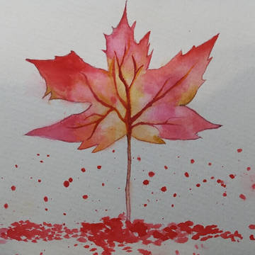 🍁