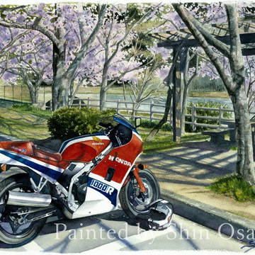 VF1000Rと春の河川敷