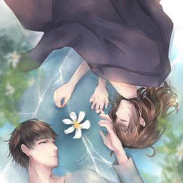 生命之花