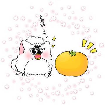 furby illust①