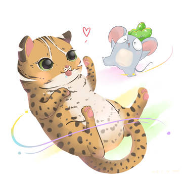石虎畫撥中