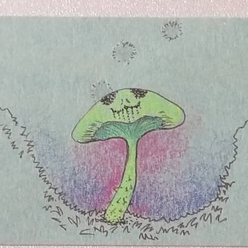 ドクロタケ