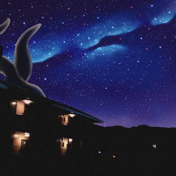 星空を見る
