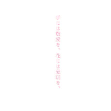 手には敬愛を、花には愛玩を、