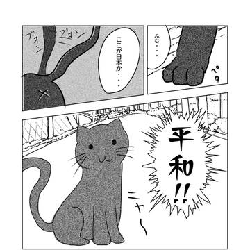 これはネコ