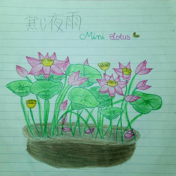 Mini Lotus