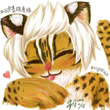【石虎畫撥專線】Leopard cat