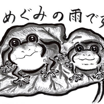 めぐみの雨なのよ
