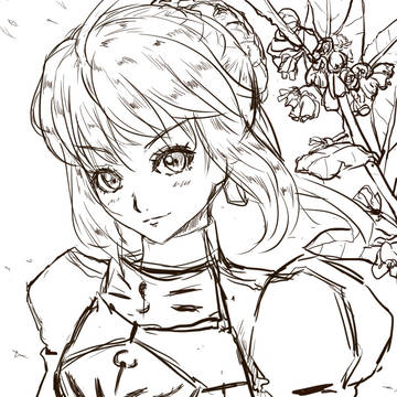 セイバーはん