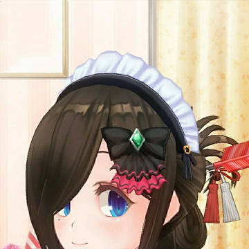 3D Maid