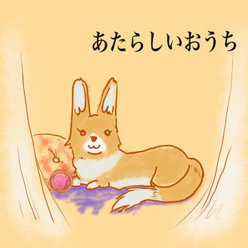 あたらしいおうち