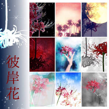 フリー素材 彼岸花（曼珠沙華）