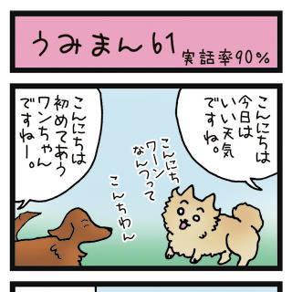 うみまん61