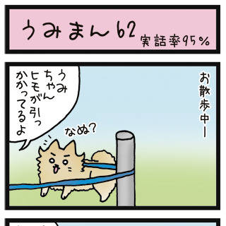うみまん62