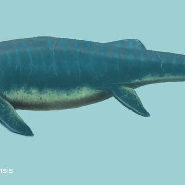Himalayasaurus