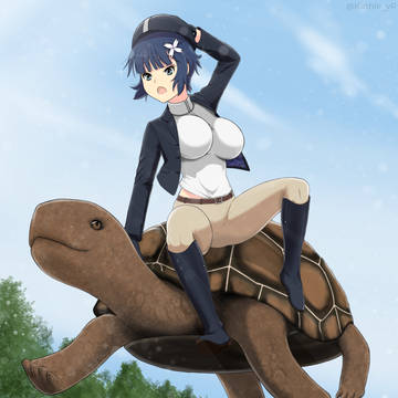 Tortoise