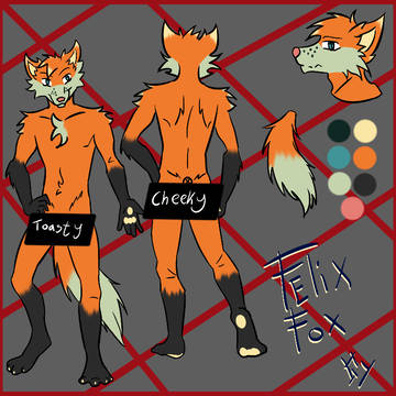Felix Fox Fullbody