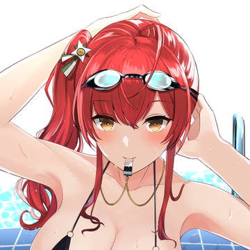 水着ザラ
