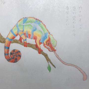 カメレオン