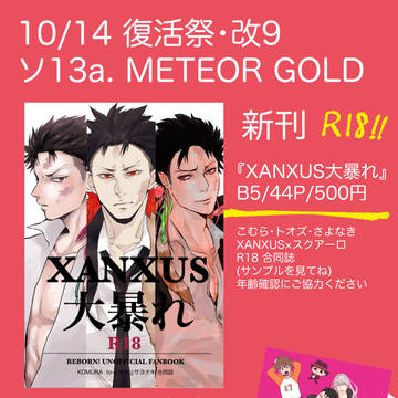 【10/14 復活祭改9 新刊情報】XANXUS大暴れ【R18】