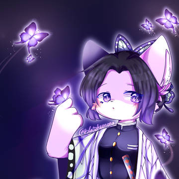 KnY FA : Shinobu