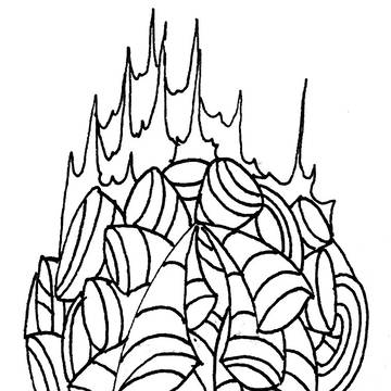 2019 1017