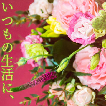 いつもの生活に、彩りを