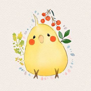 オカメインコ