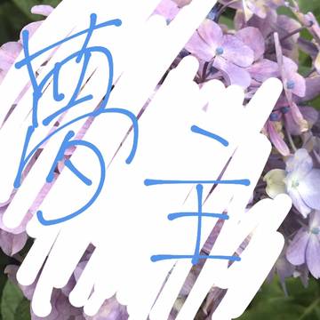 目黒 透