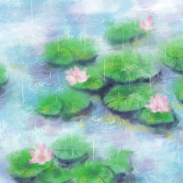 莲花坞