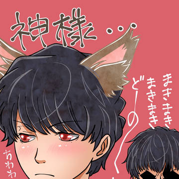 チワワじゃなくて狼です