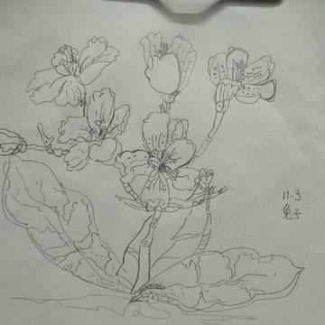 花