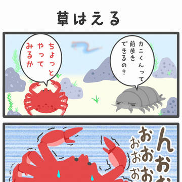 【のんびりあくありうむ】草はえる